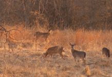 Today is National Hunting and Fishing Day!