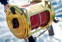 Sport Fishing Reels Market Emerging Trends, Global Demand and Sales 2020 to 2026 – Galus Australis