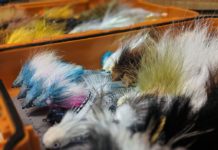 Check out these five streamers for fall fishing