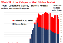 California Tries to Stem the Unemployment Insurance Chaos: Week 27 of U.S. Labor Market Collapse