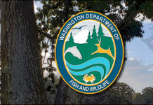 What is lake rehabilitation? – The Independent