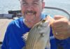 White bass a treat on Stockton Lake