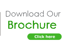 Global Sport Fly Fishing Reels Market Trends, Insight and Outlook Report 2020| Ross, Hatch, Abel – Scientect