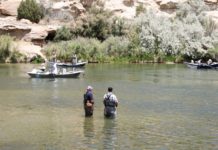 Salmon fishing has been slow, but snagging starts Oct. 1