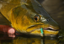 Video Pro Tips: Always Trust Your Spidey Senses