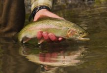 Master Class Mondays: How to Fish a Corner Pool, Part I