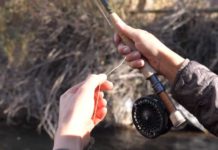 Video Pro Tip: How to Get Your Flies Out of a Tree or Bush