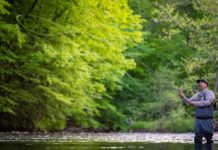 Top 10 Flies for Trout Spey