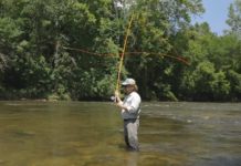 Video Pro Tips: Understanding Tempo and Creep in Fly Casting