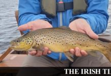 Small band of diehards make the most of Mask visit