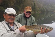 Top 10 (and more!) Flies for Fall on the Upper Delaware