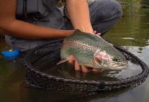 Video: The Basics of Fly Fishing, with Marina Gibson