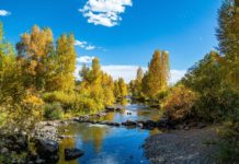 Topo Designs x Magnetic Destination Guides: Steamboat Springs – Beers, Tubing, Waterfalls, and Chilling