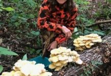 Notes come from around Chicago outdoors on Snake Road, B.S. in fly fishing, a sandhill crane tale and fall mushrooms.