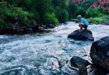 On the Fly: Fickle Fryingpan frustration