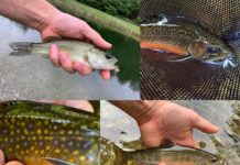 Photos: Week One of The “20 September Days” Contest