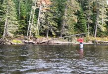 Pro Tips: 5 Common Fly-Fishing Mistakes and How to Avoid Them