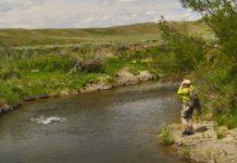 Master Class Mondays: How to Fish a Streamer in a Shelving Riffle