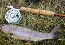 Anglers Can Help Protect Fish By Modifying Fishing Habits