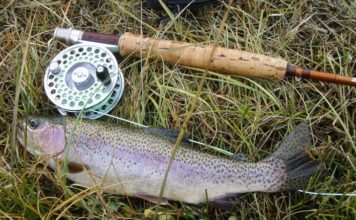 Anglers Can Help Protect Fish By Modifying Fishing Habits