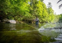 Pro Tips: Trout-Spey Lines Demystified