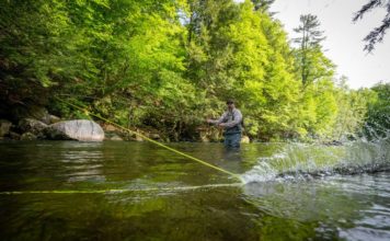 Pro Tips: Trout-Spey Lines Demystified