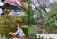 Photos: Week Two of The “20 September Days” Contest 2020