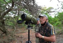 Bird-watching on Long Island takes flight during the pandemic