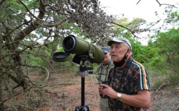 Bird-watching on Long Island takes flight during the pandemic
