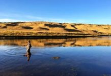 Four Ways to Experience Casper’s Wide-open Spaces