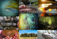 Vote for the Winners in Our 2020 “20 Days in September” Contest—and Maybe Win Something for Yourself!