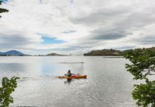 Travel ideas in Georgia and Oregon during COVID-19