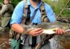 KEN PERROTTE: Fly-fishing for salmon in Michigan can hook even a novice | Outdoors