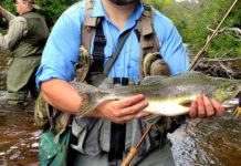 KEN PERROTTE: Fly-fishing for salmon in Michigan can hook even a novice | Outdoors