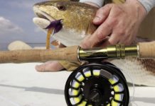 Good and getting better | Waterline