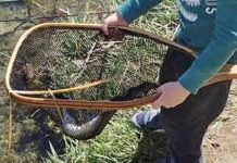 OUTDOORS: Kids plus fall equals fishing | Outdoors