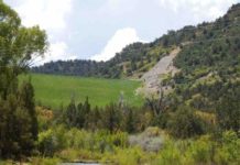 Junk along the Unc | News