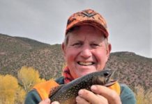 On fishing: Are beaver ponds worth fishing? | Outdoors