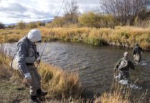 Anglers, outfitters dispute proposed Madison River fishing regulations | News