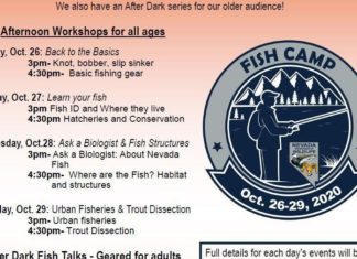 Joe’s Fishing Hole: Changing weather puts damper on fishing this weekend | Outdoors