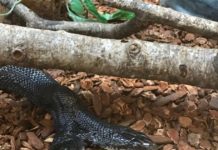 Discovering nature from indoors | Local