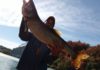 The Fishing Beat: Action improving on Lake Erie tributaries | Outdoors
