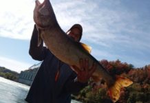 The Fishing Beat: Action improving on Lake Erie tributaries | Outdoors
