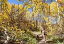 Fall is our favorite: For those in the know, the ‘golden season’ is Aspen and Snowmass at their best