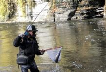 DEC Announces Oct. 31 Opening of Salmon River Lower Fly-Fishing Area –