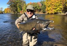 The 2020 Fall Salmon Run: ‘Epic, Phenomenal’ on Salmon, Oswego rivers