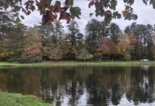 Out and About at WRAL.com