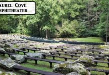 Experience Laurel Cove’s final two Socially Distant Mini Series shows