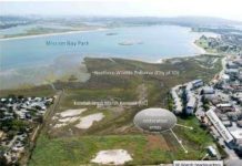 Regional Water Board Vote Forces City to Consider ReWild Wetland Restoration Plan for Northeast Mission Bay