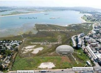 Regional Water Board Vote Forces City to Consider ReWild Wetland Restoration Plan for Northeast Mission Bay